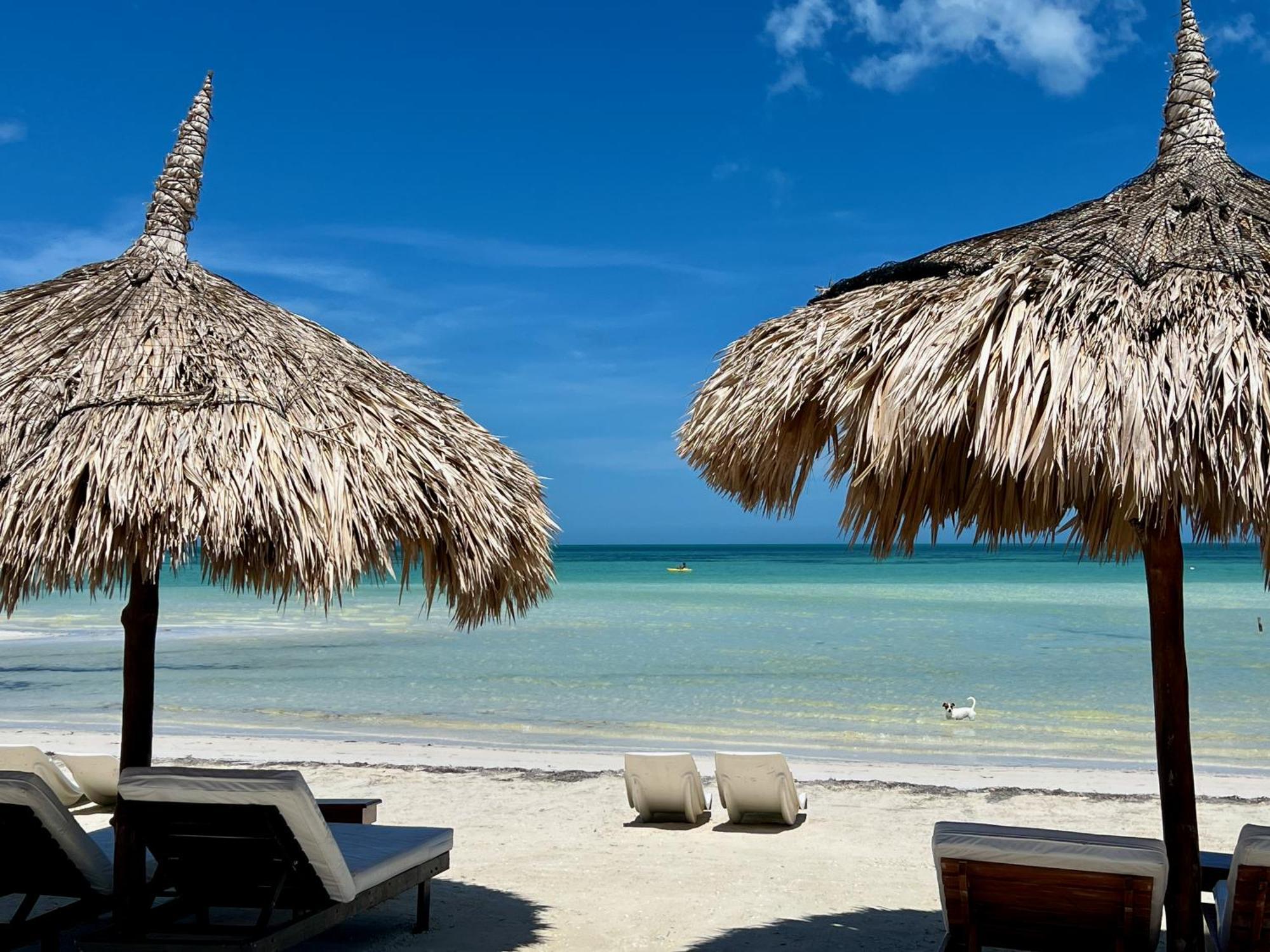 Palapas del Sol Hotel Isla Holbox Bagian luar foto